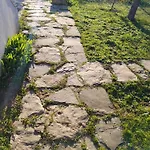 при приятели Νεσέμπαρ